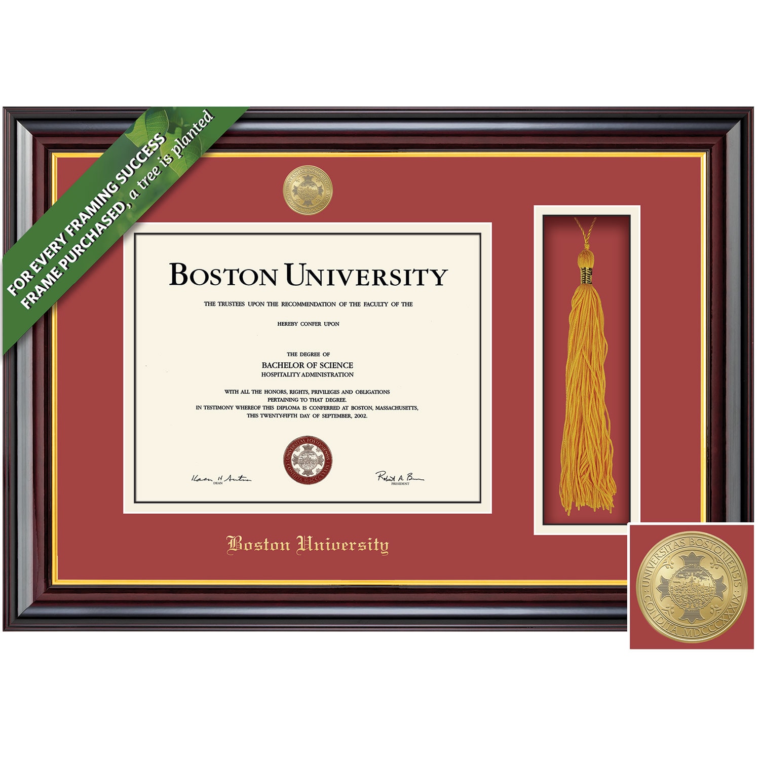 Framing Success 10.5 x 14 Windsor Gold Medallion Bachelors, Masters, Doctorate Diploma/Tassel Frame