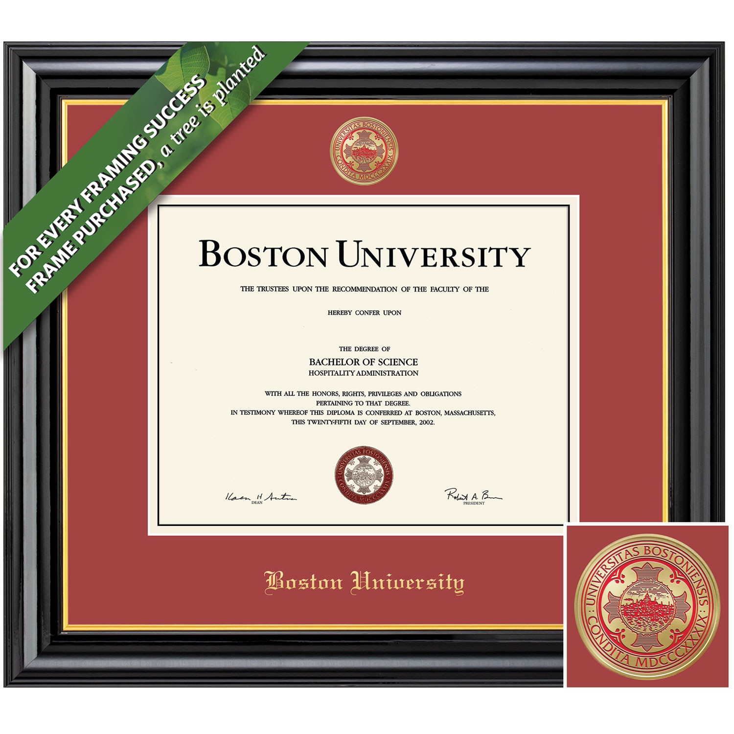 Framing Success 10.5 x 14 Coronado Colored Medallion Bachelors, Masters, PhD Diploma Frame