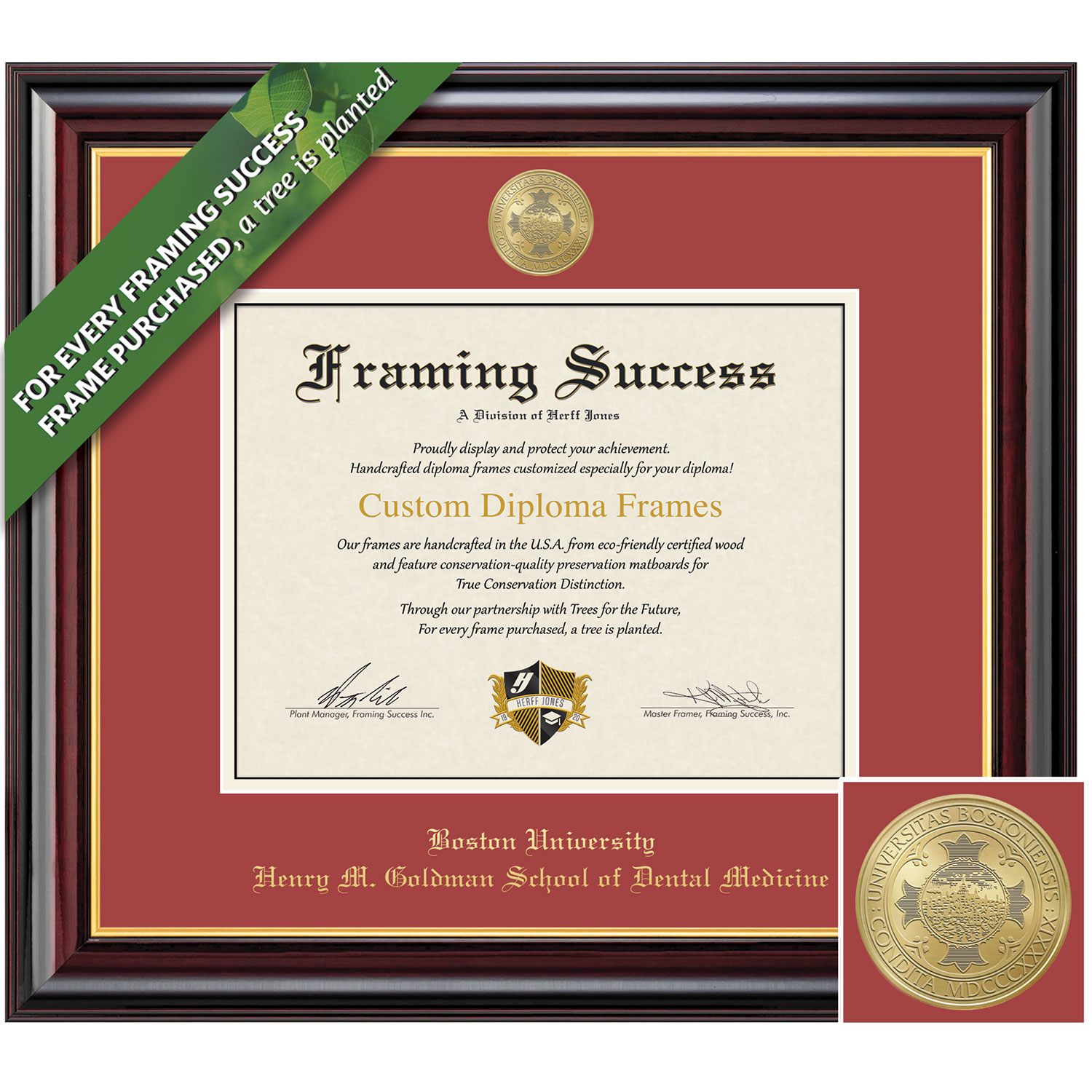 Framing Success 16 x 20 Windsor Gold Medallion Dental Diploma Frame