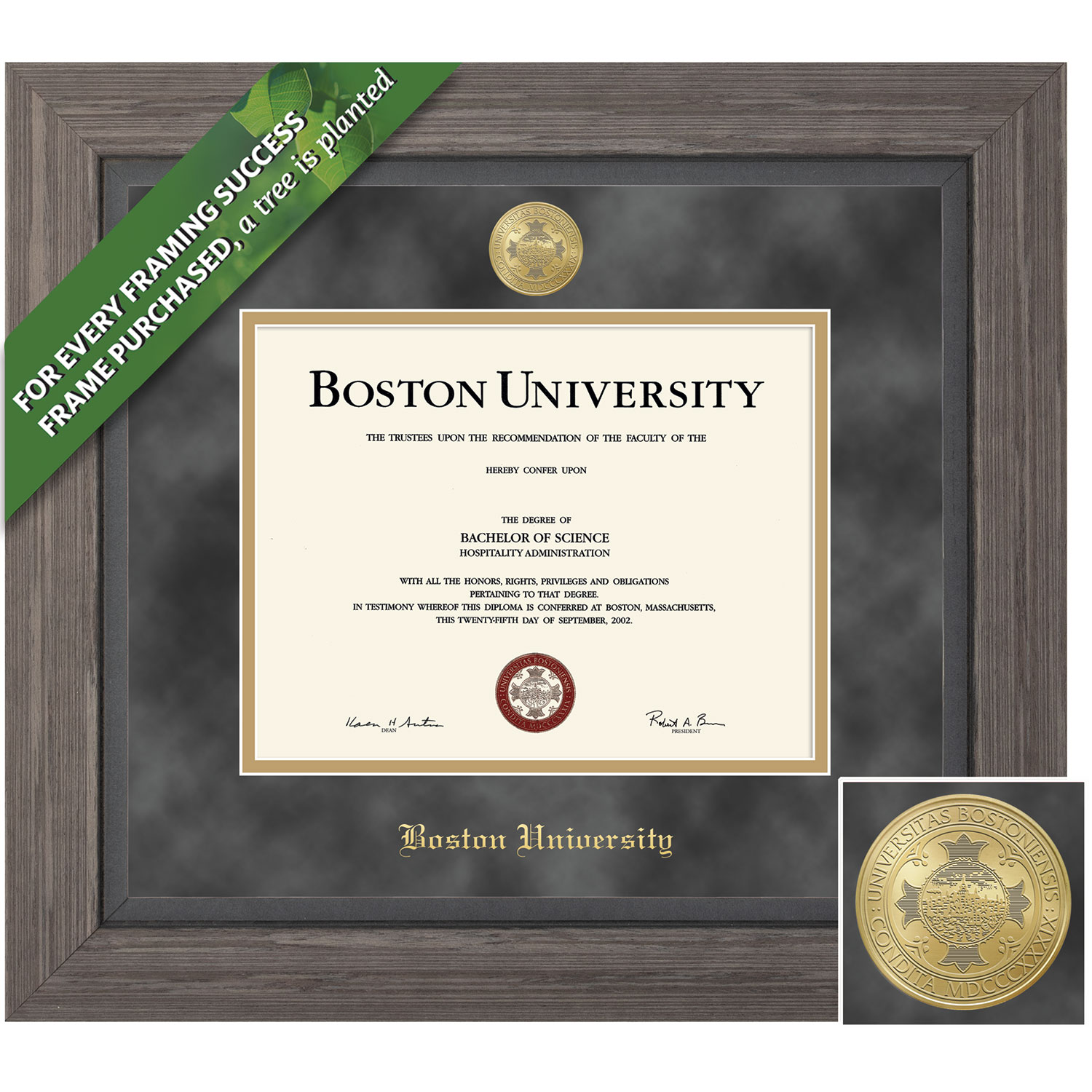 Framing Success 11 x 14 Greystone Gold Medallion Bachelors, Masters, PhD Diploma Frame