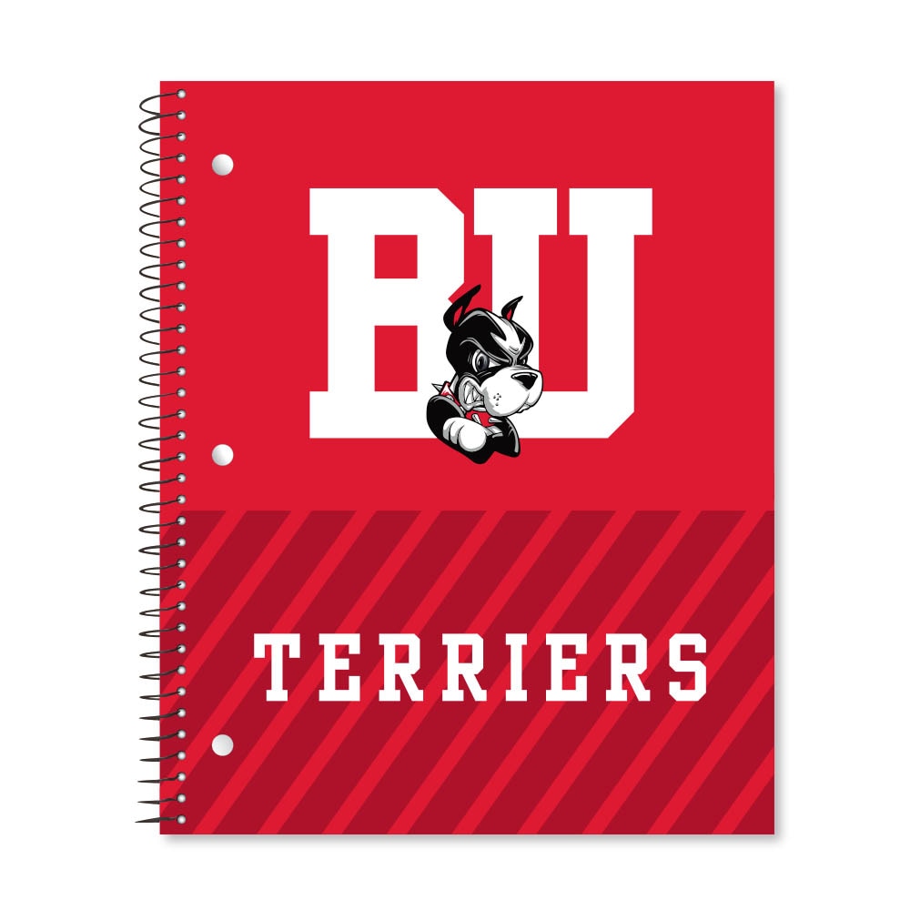 Digi Diagonal Stripe Divide 3 Subject 11"x9" College Ruled Spiral Notebook