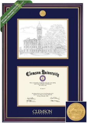 Framing Success 8.5 x 11 Windsor Gold Medallion Bachelors, Masters Diploma/Litho Frame