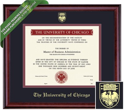 Framing Success 9 x 12 Classic Gold Embossed School Seal Bachelors, Masters Diploma Frame