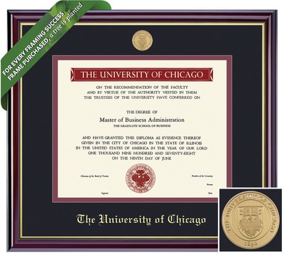 Framing Success 9 x 12 Windsor Gold Medallion Bachelors, Masters Diploma Frame