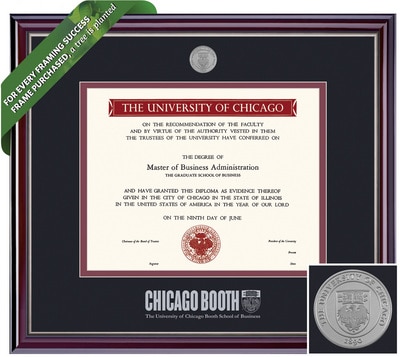 Framing Success 9 x 12 Jefferson Silver Medallion MBA Diploma Frame