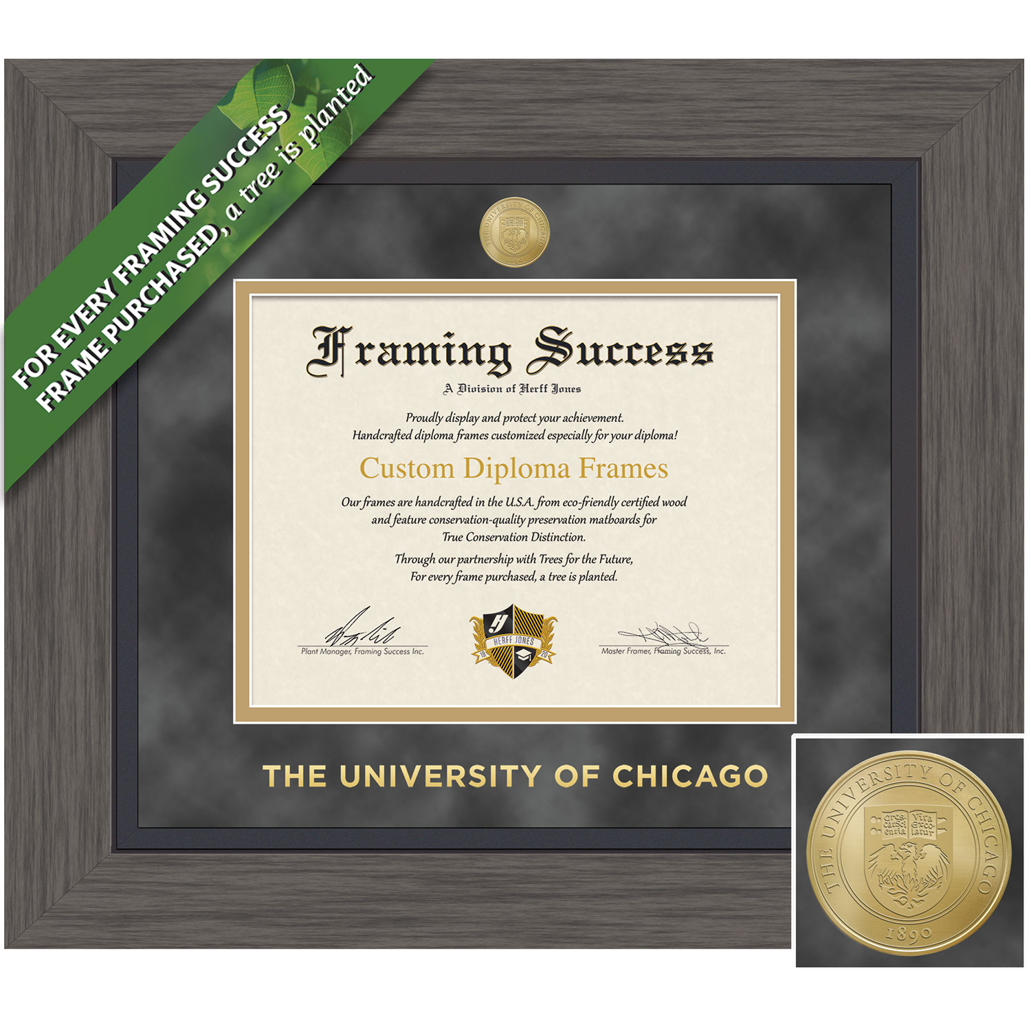 Framing Success 9 x 12 Greystone Gold Medallion Bachelors, Masters Diploma Frame
