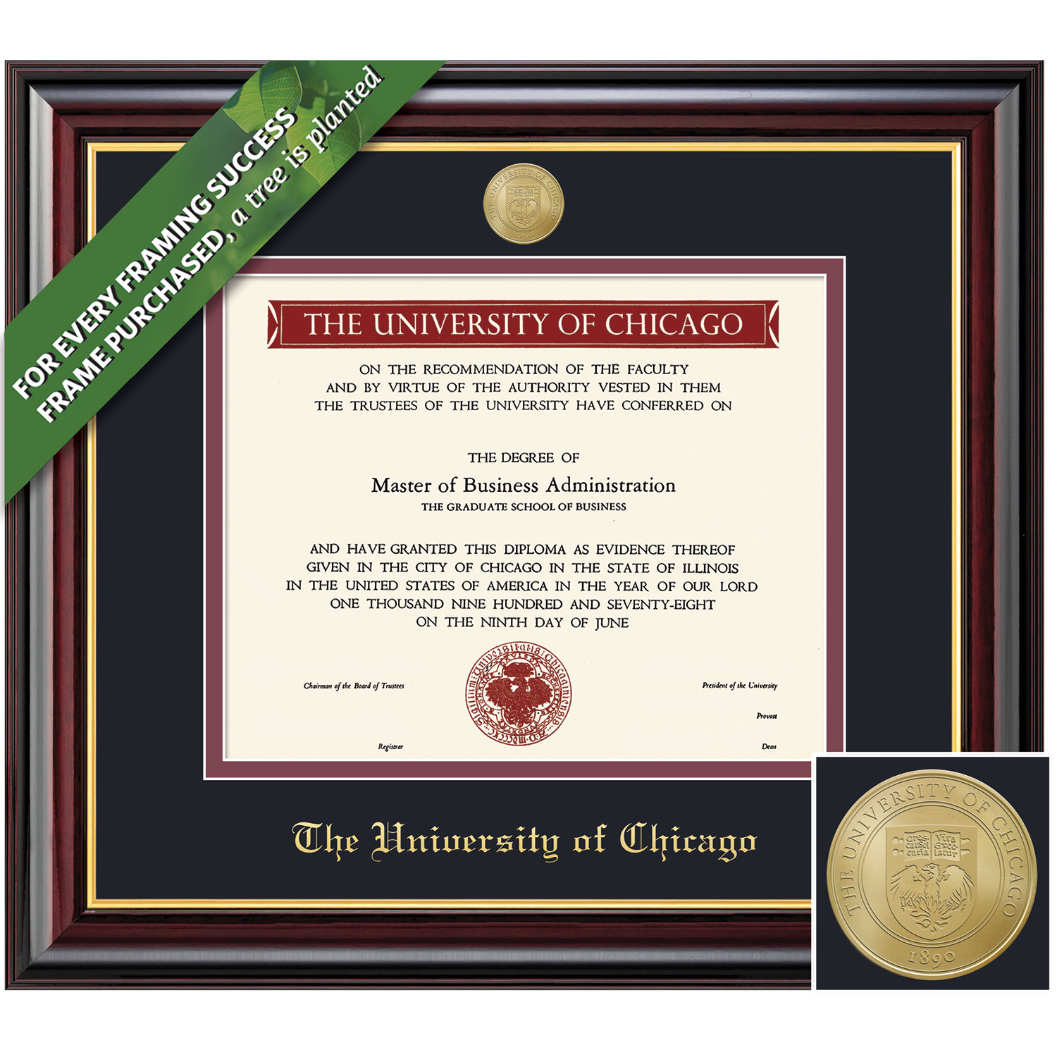 Framing Success 9 x 12 Windsor Gold Medallion Bachelors, Masters Diploma Frame