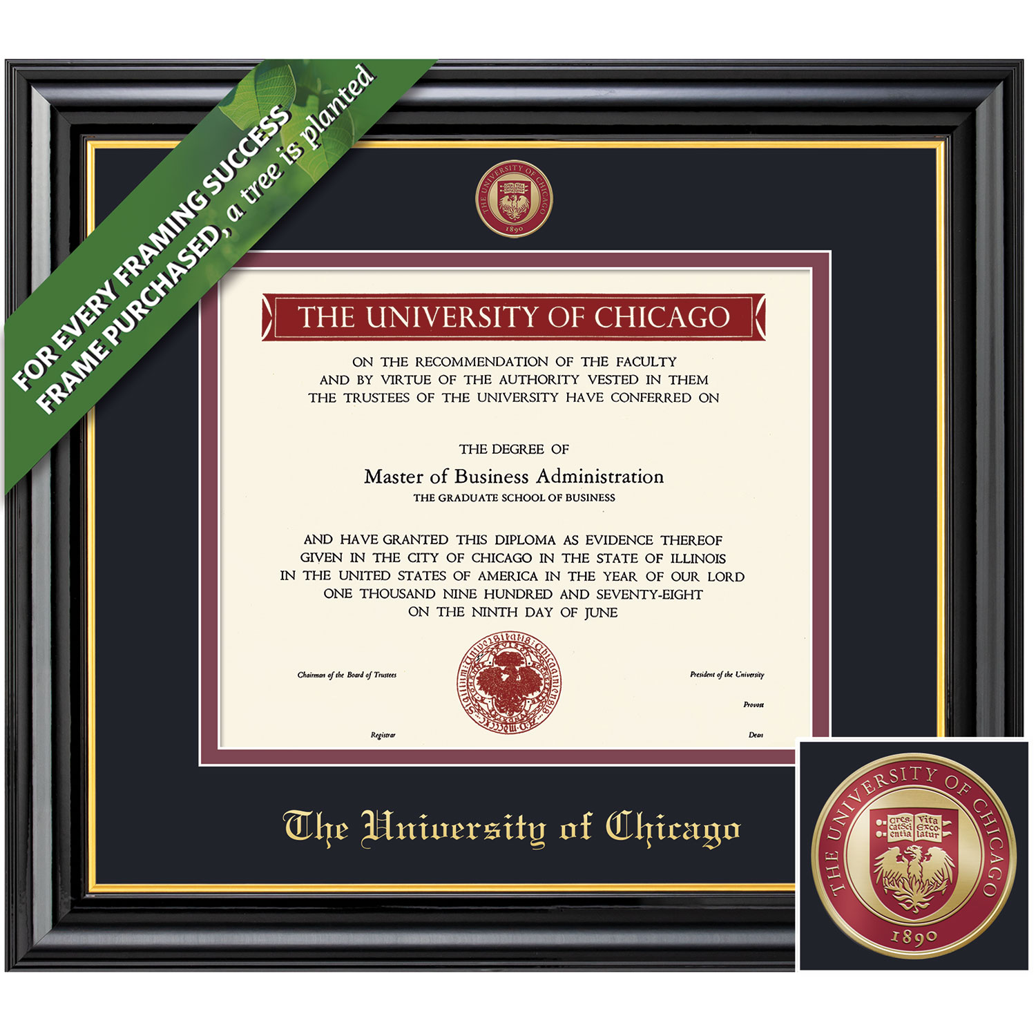 Framing Success 9 x 12 Coronado Color Medallion Bachelors, Masters Diploma Frame