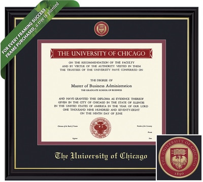 Framing Success 9 x 12 Coronado Color Enamel Custom Minted Medallion of School Seal Bachelors, Masters Diploma Frame