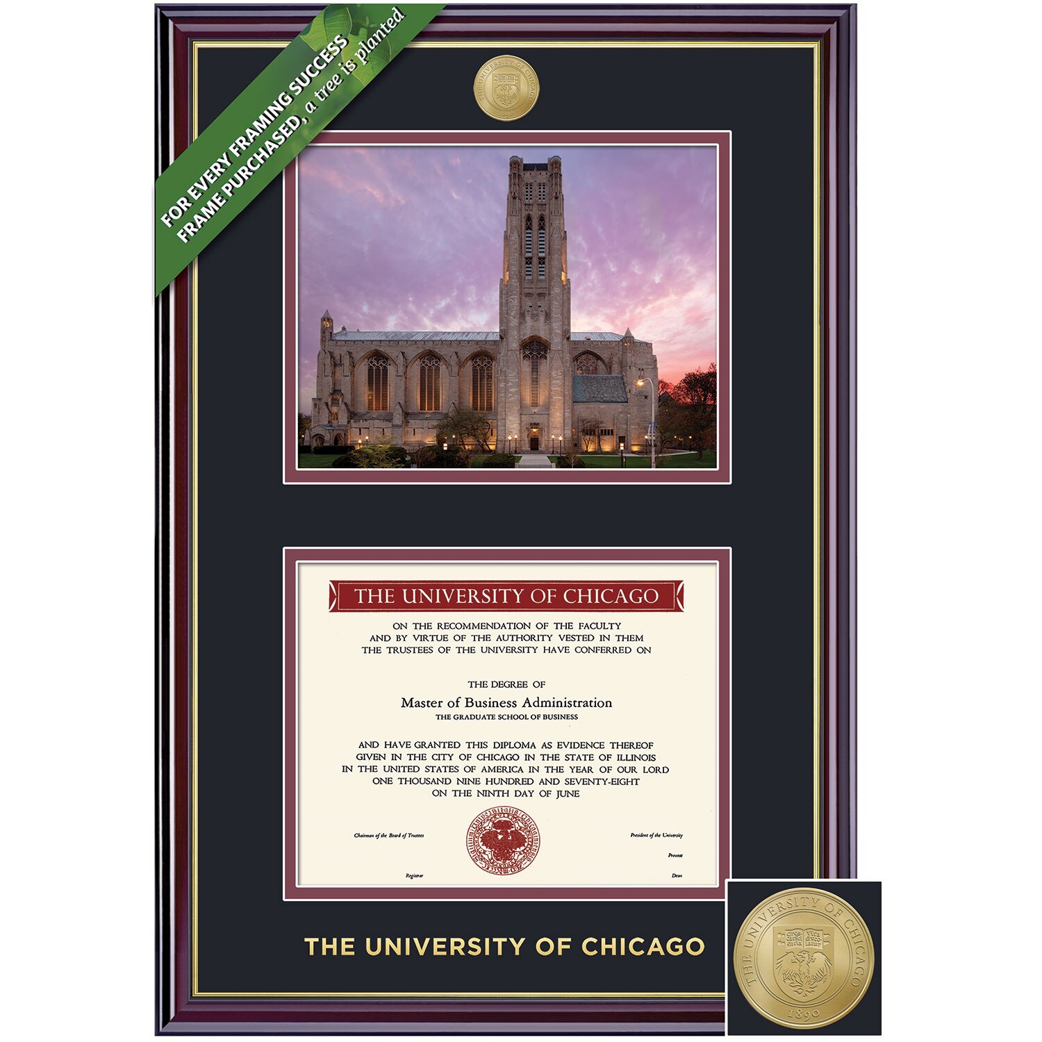 Framing Success 9 x 12 Windsor Gold Medallion Bachelors, Masters Diploma/Photo Frame