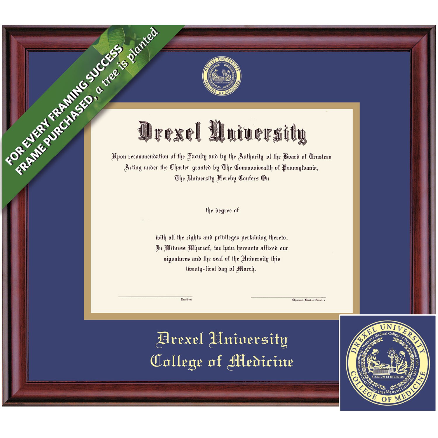 Framing Success 14 x 17 Classic Gold Embossed School Seal Medicine Diploma Frame