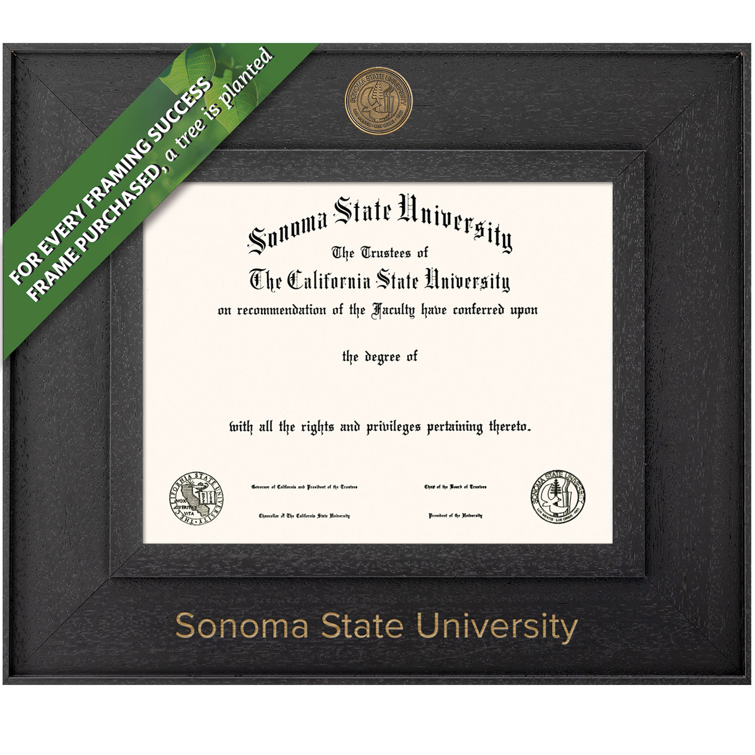 Framing Success 8.5 x 11 Cavalier Antiqued Medallion Bachelors, Masters, Doctorate Diploma Frame