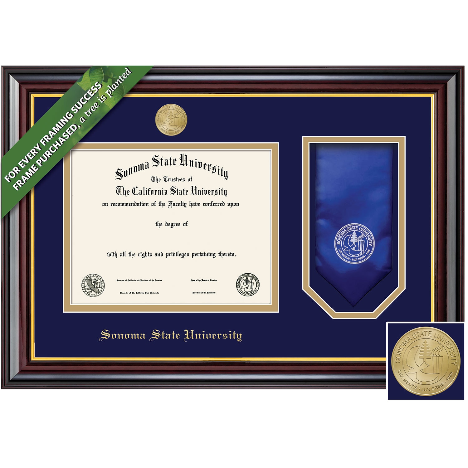 Framing Success 8.5 x 11 Windsor Gold Medallion Bachelors, Masters, Doctorate Diploma/Stole Frame