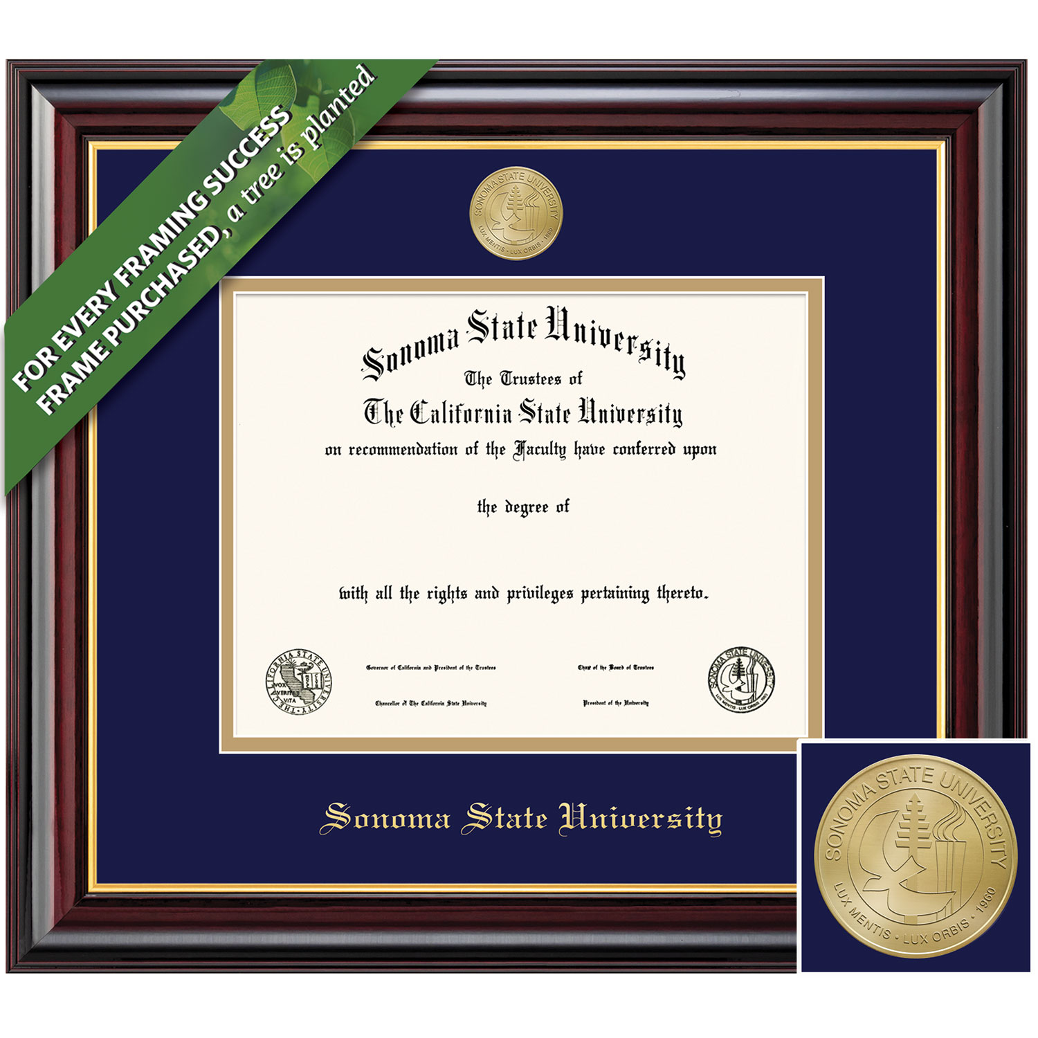 Framing Success 8.5 x 11 Windsor Gold Medallion Bachelors, Masters, PhD Diploma Frame