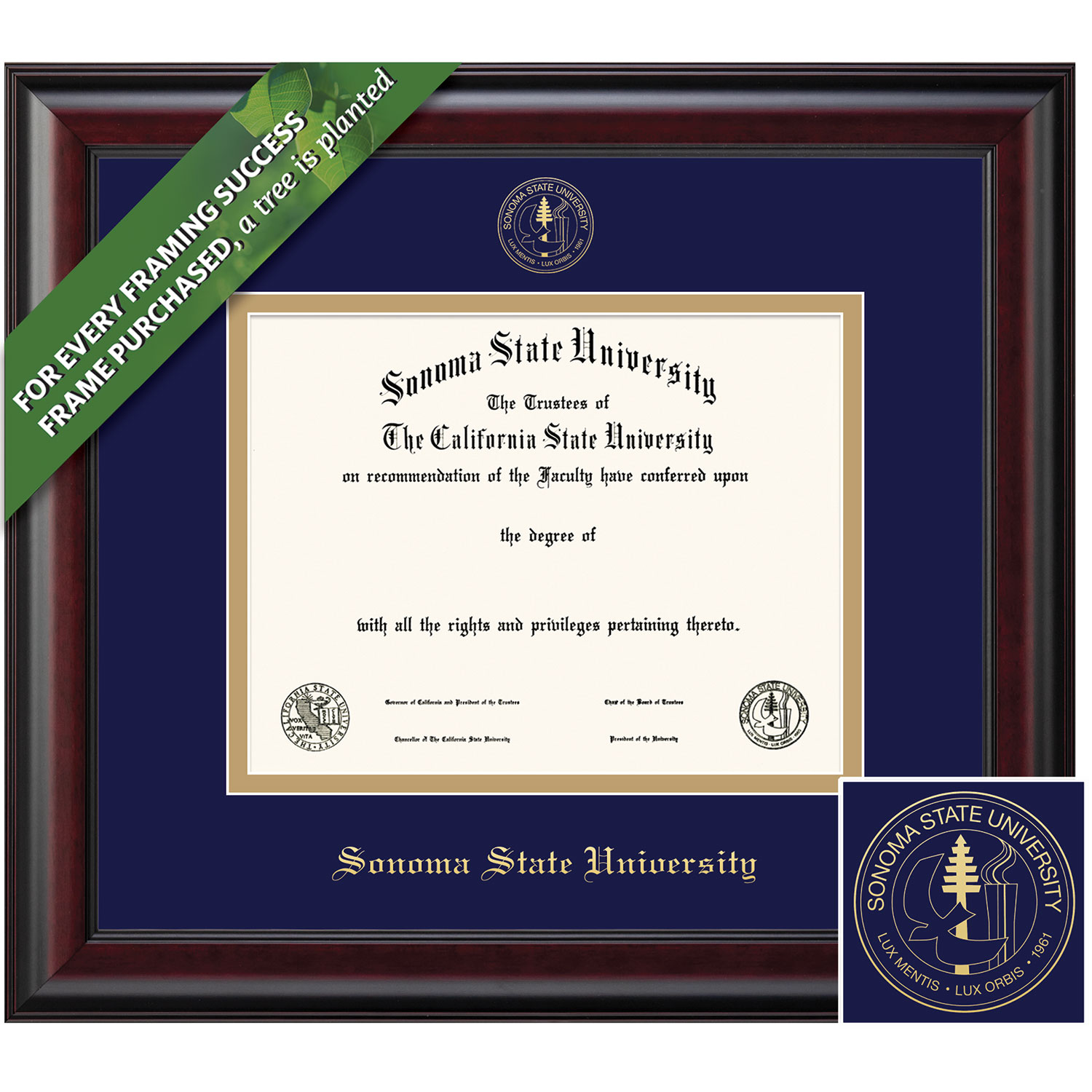 Framing Success 8.5 x 11 Classic Gold Embossed School Seal Bachelors, Masters, Doctorate Diploma Frame