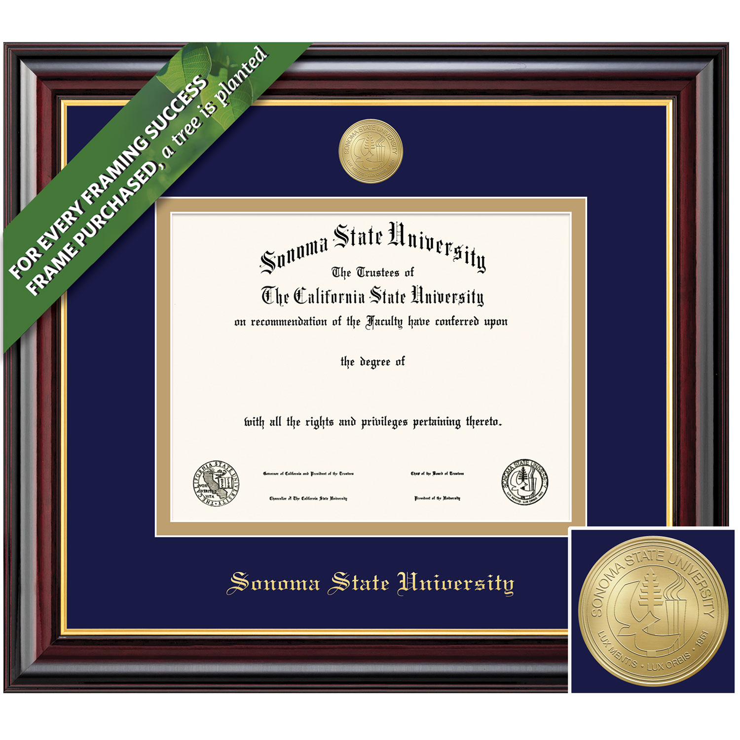 Framing Success 8.5 x 11 Windsor Gold Medallion Bachelors, Masters, Doctorate Diploma Frame