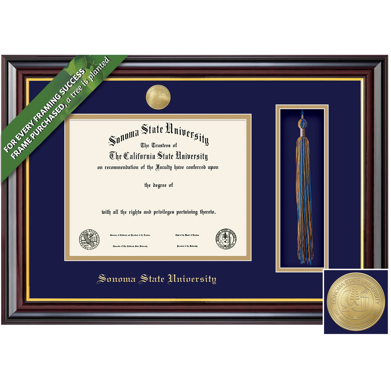 Framing Success 8.5 x 11 Windsor Gold Medallion Bachelors, Masters, Doctorate Diploma/Tassel Frame