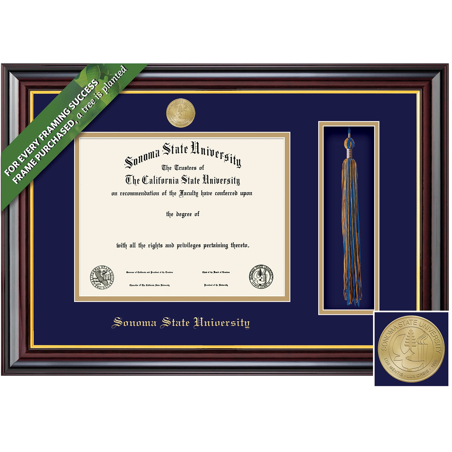 Framing Success 8.5 x 11 Windsor Gold Medallion Bachelors, Masters, PhD Diploma/Tassel Frame.