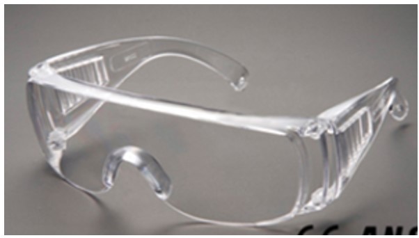 Ward Safety Glasses