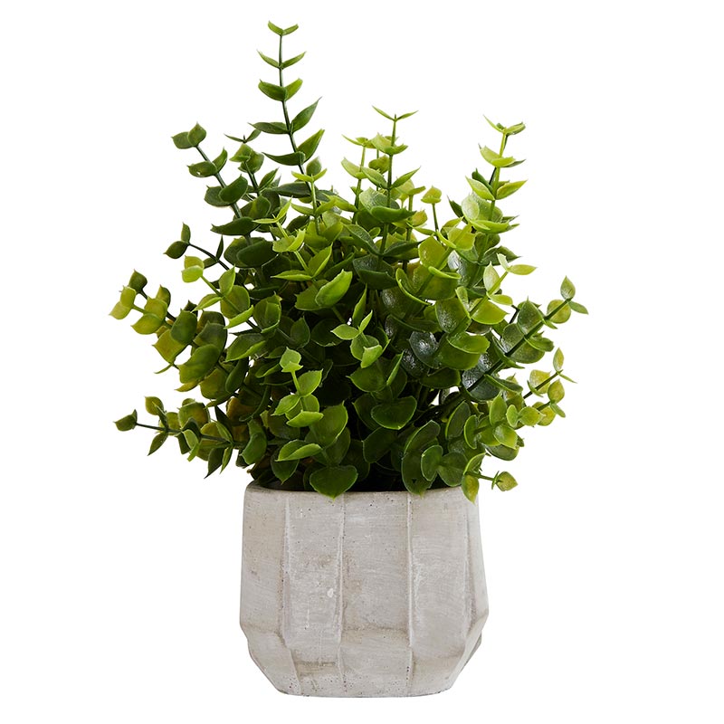 Faux Eucalyptus plant in  multi-level horizontally-textured cement vessel. 8" high. 3" diameter pot.