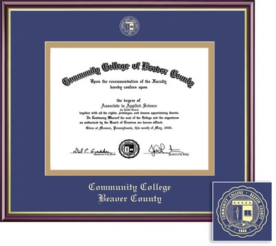 Framing Success 7 x 9 Academic Gold Embossed School Seal Bachelors, Masters Diploma Frame