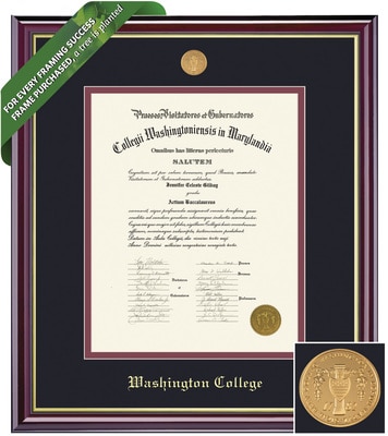 Framing Success 20 x 16 Windsor Gold Medallion Bachelors Diploma Frame