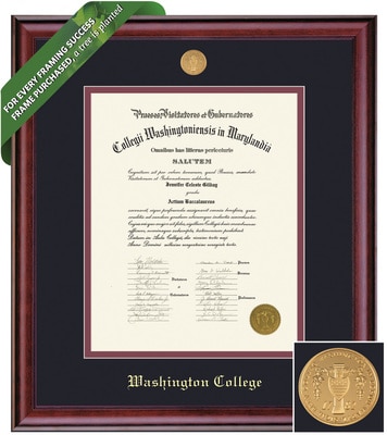 Framing Success 20 x 16 Classic Gold Medallion Bachelors Diploma Frame