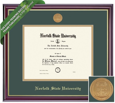 Framing Success 8.5 x 11 Windsor Gold Medallion Bachelors, PhD Diploma Frame