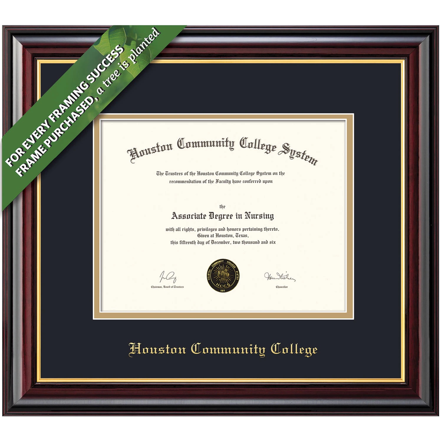 Framing Success 8.5 x 11 Classic Gold Embossed School Seal Bachelors Masters Diploma Frame