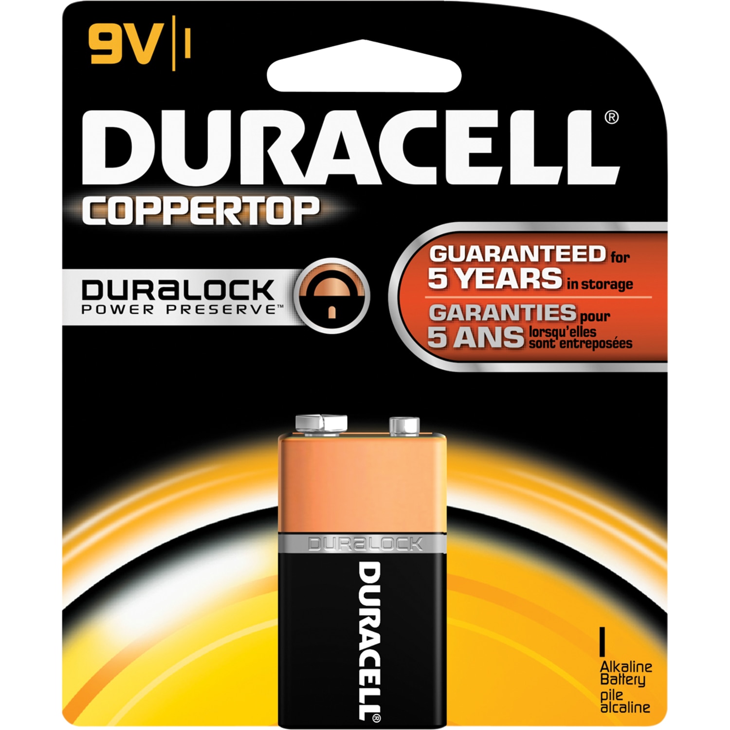 Single 9-Volt Battery