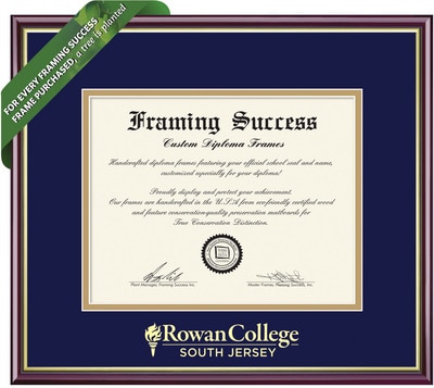 Framing Success 8 x 10 Academic Gold Embossed School Seal Bachelors, Masters Diploma Frame