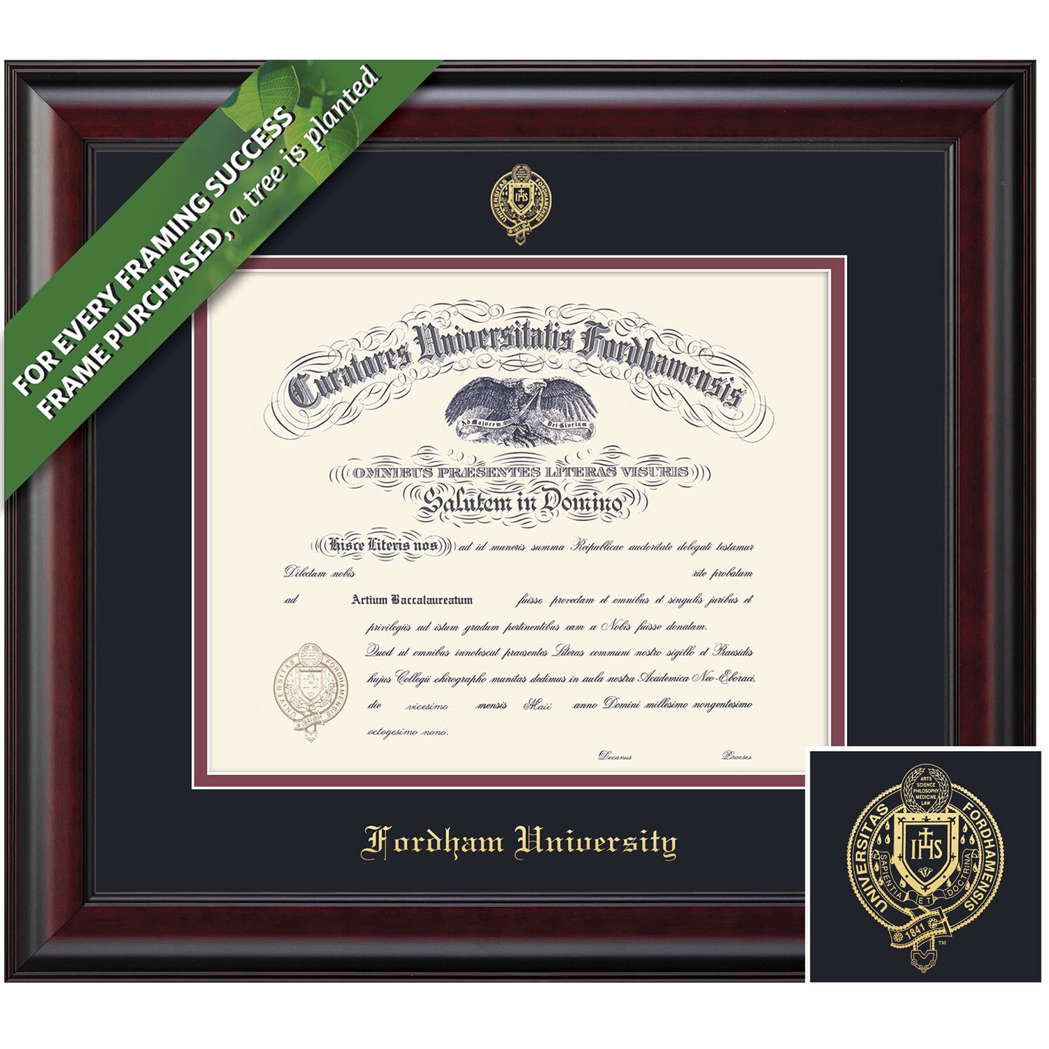 Framing Success 10 x 13 Classic Gold Embossed School Seal Bachelors, Masters Diploma Frame