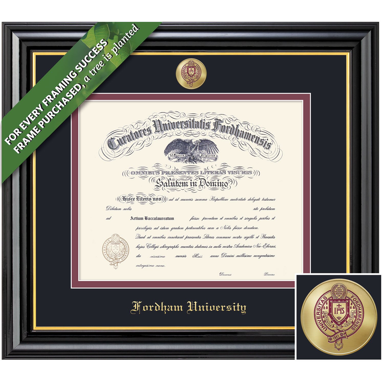 Framing Success 10 x 13 Coronado Color Enamel Custom Minted Medallion Bachelors, Masters Diploma Frame