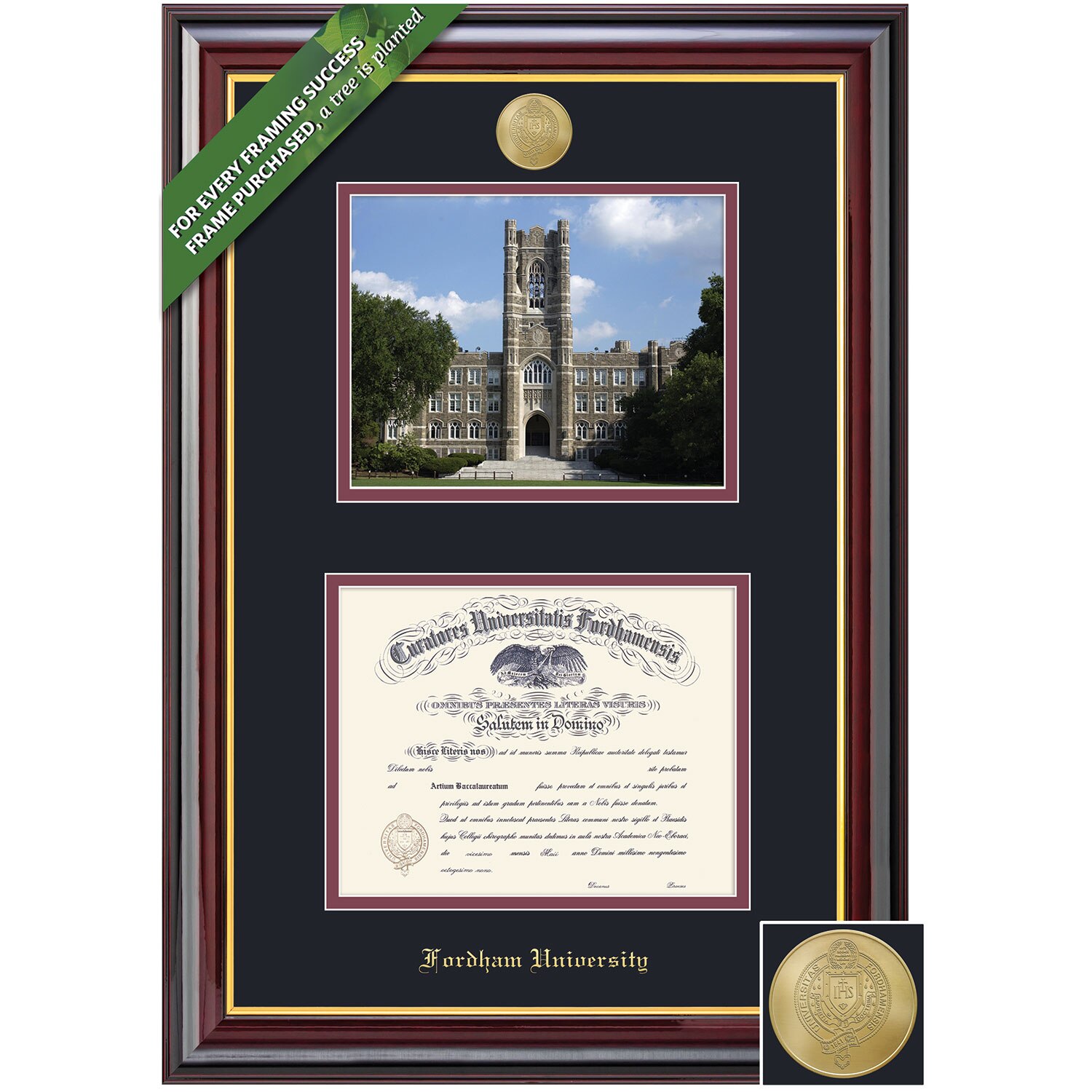 Framing Success 10 x 13 Windsor Gold Medallion Bachelors, Masters Diploma/Photo Frame