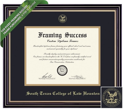 Framing Success 14 x 17 Prestige Gold Embossed School Seal Law Diploma Frame