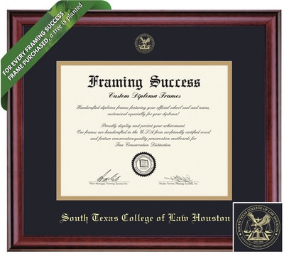 Framing Success 14 x 17 Classic Gold Embossed School Seal Law Diploma Frame