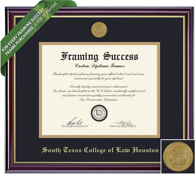 Framing Success 14 x 17 Windsor Gold Medallion Law Diploma Frame