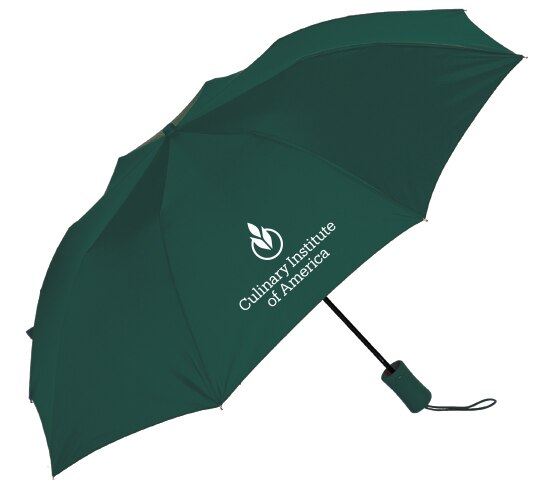 "The Victory" Solid Emblematic Umbrella 42" Auto Folding