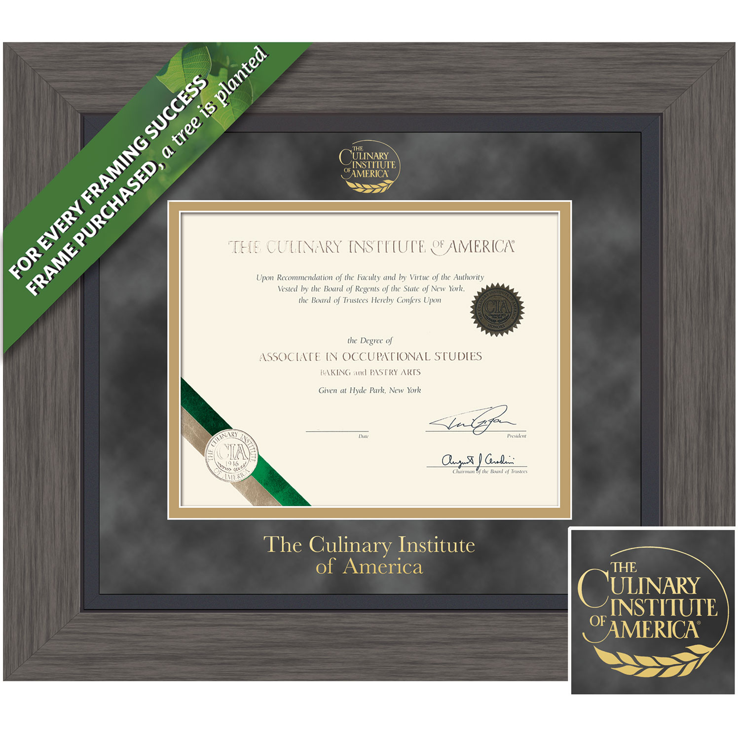 Framing Success 8 x 10 Greystone Gold Embossed School Seal Bachelors, Masters Diploma Frame