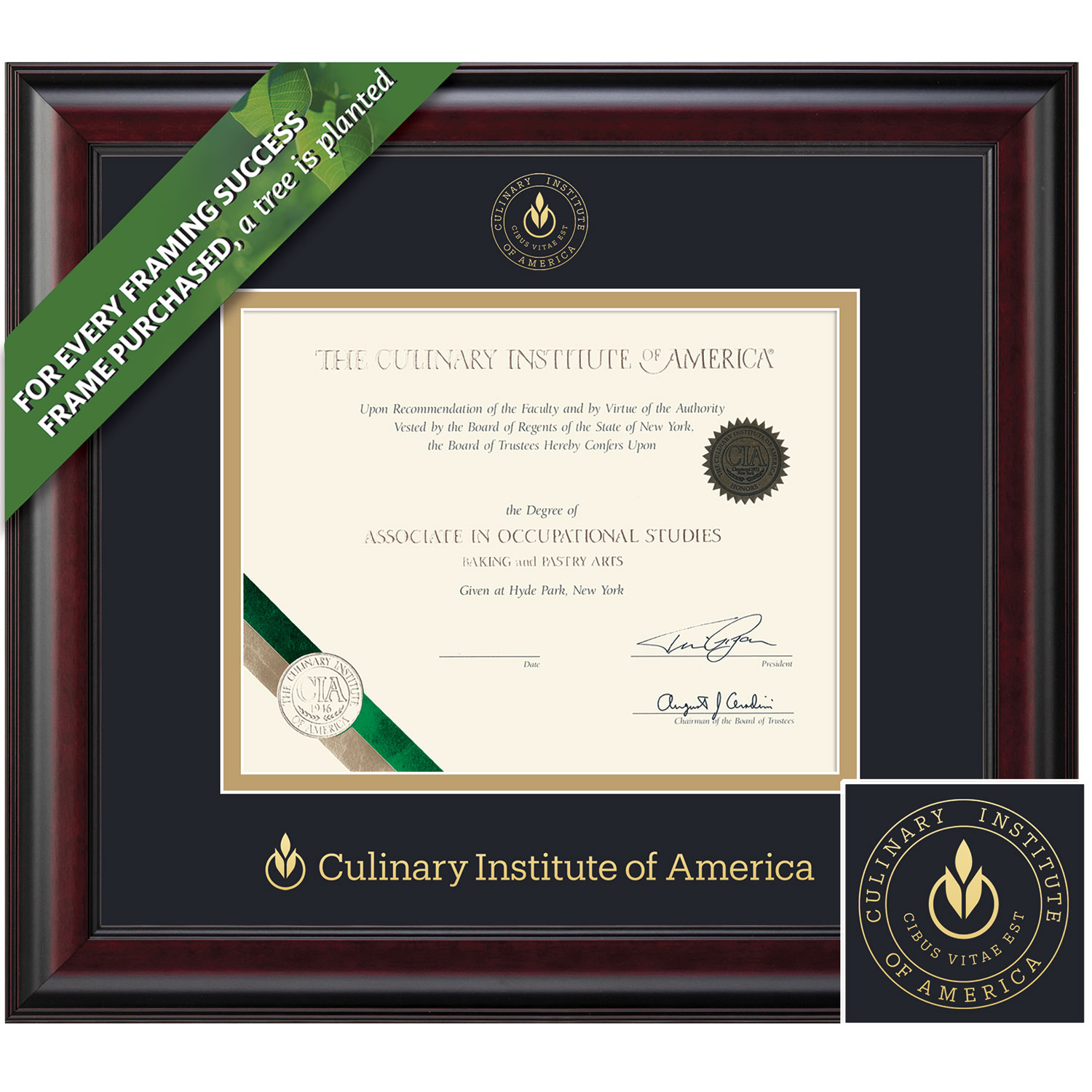 Framing Success 8 x 10 Classic Gold Embossed School Seal Bachelors Masters Diploma Frame
