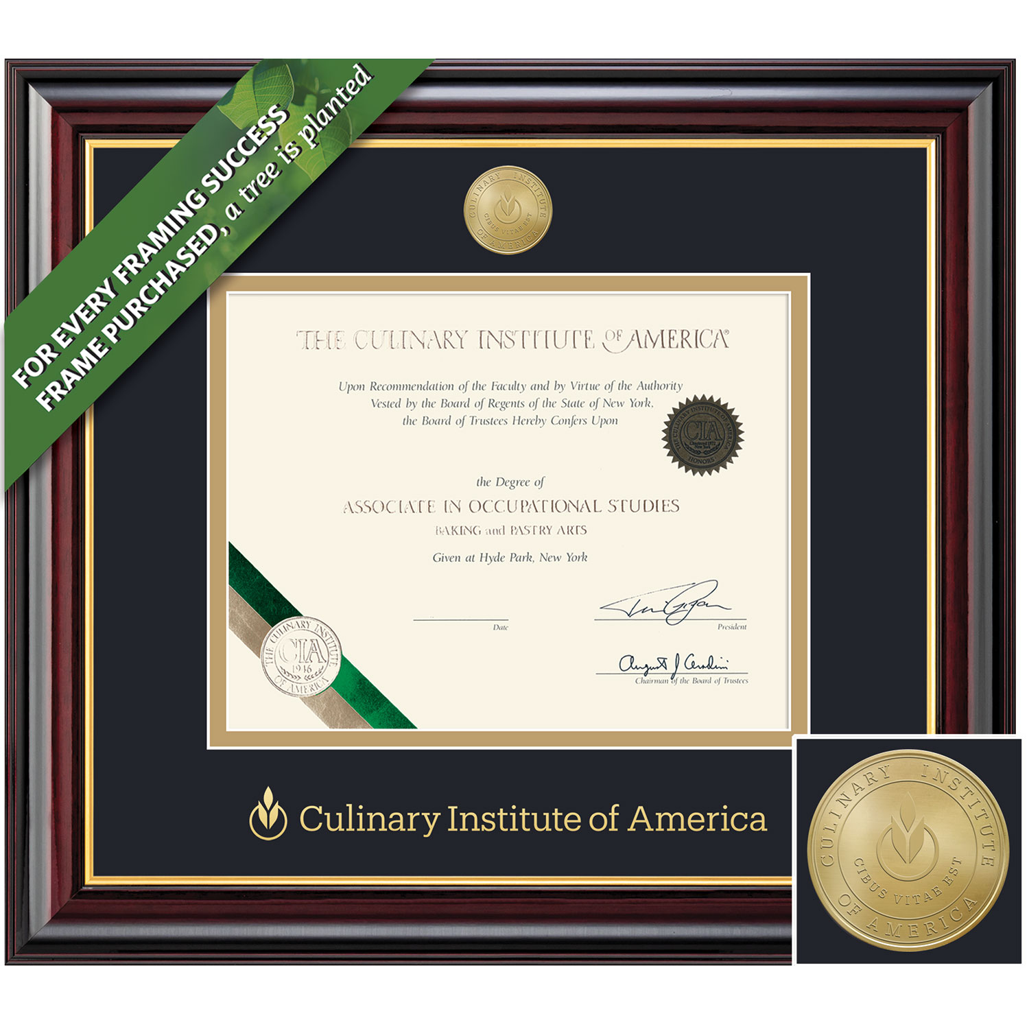 Framing Success 8 x 10 Windsor Gold Medallion Bachelors Masters Diploma Frame
