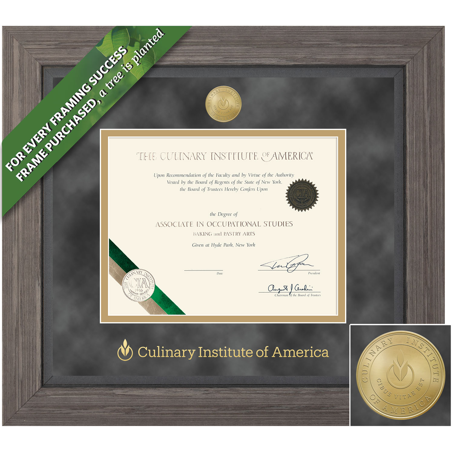 Framing Success 8 x 10 Prestige Gold Medallion Bachelors Masters Diploma Frame