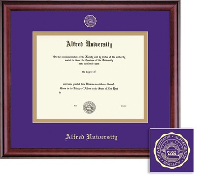 Framing Success 11 x 14 Classic Gold Embossed School Seal Doctorate Diploma Frame