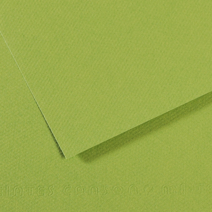 Paper-Miteintes 19X25 Green
