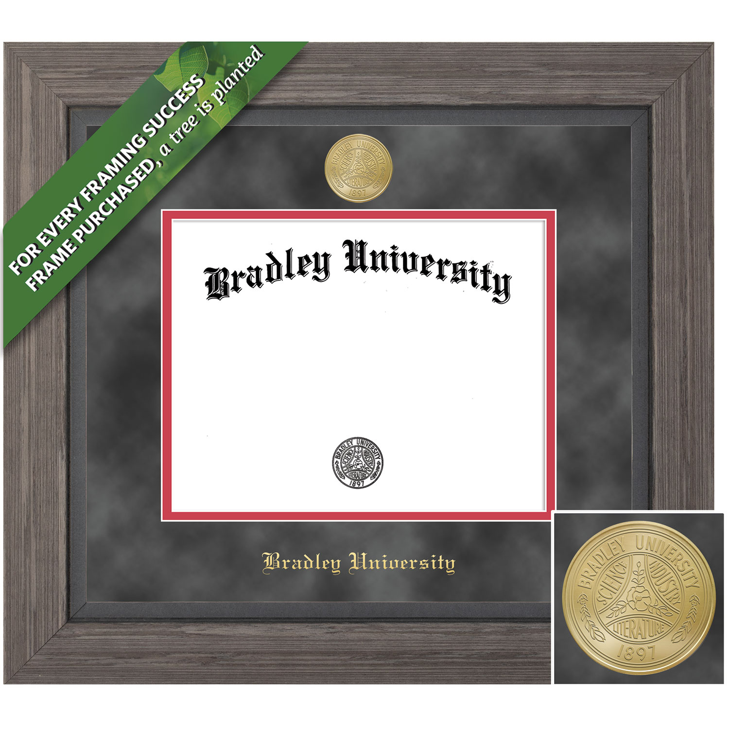 Framing Success 8.5 x 11 Greystone Gold Medallion Bachelors, Masters, Doctorate Diploma Frame