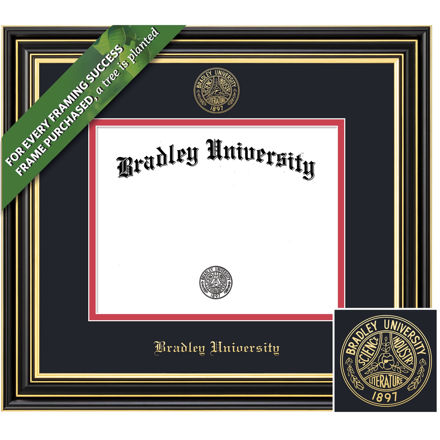 Framing Success Prestige Diploma Frame. Bachelors, Masters, PhD