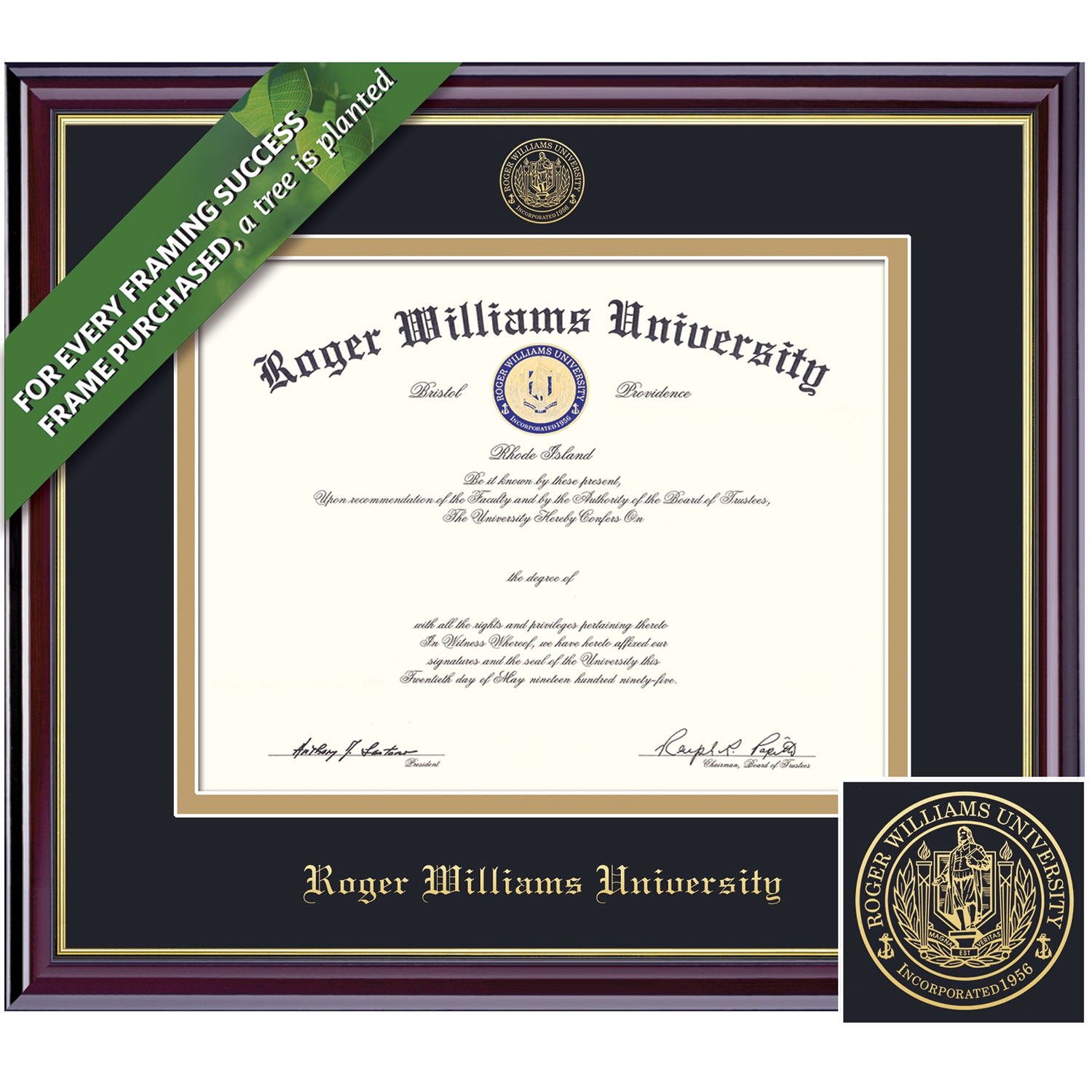 Framing Success 11 x 14 Diploma with Gold Embossed School Seal Bachelors, Masters, PhD Diploma Frame