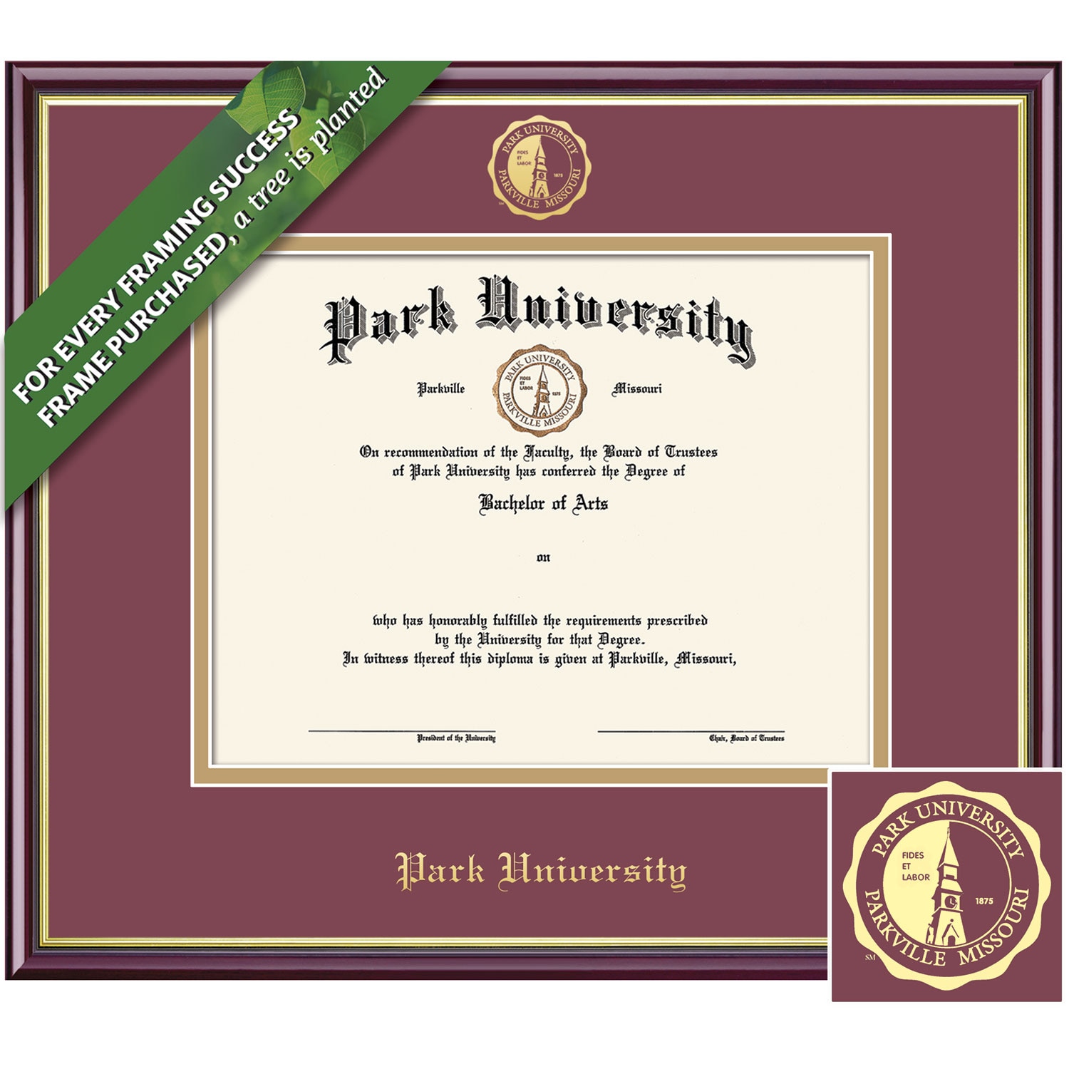 Framing Success 8.5 x 11 Academic Gold Embossed School Seal Bachelors, Masters Diploma Frame