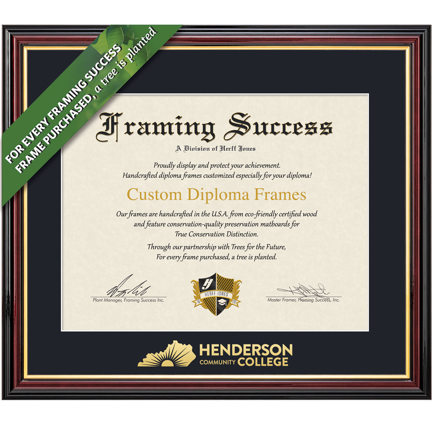 Framing Success 8.5 x 11 Academic Gold Embossed School Name Associates Diploma Frame