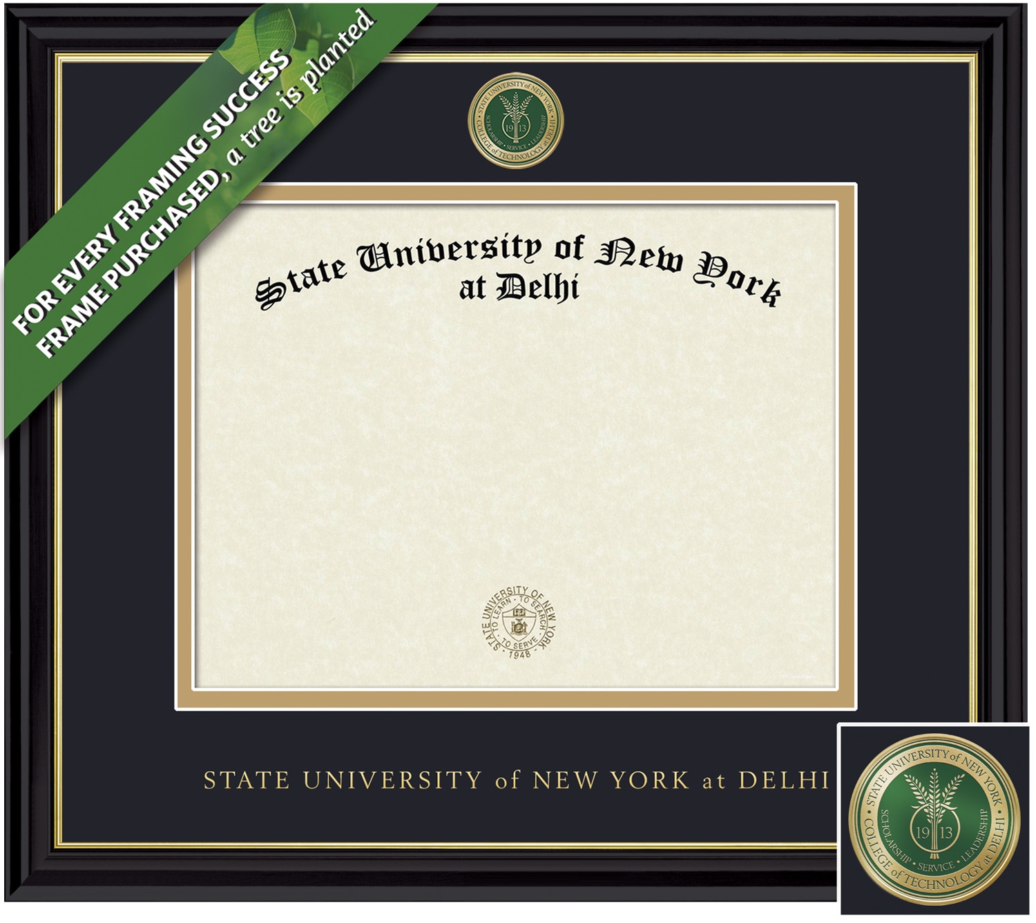 Framing Success 8.5 x 11 Coronado Color Medallion Masters Diploma Frame